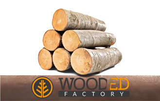 WOOD-ED FACTORY faipari fűrész szimulátor